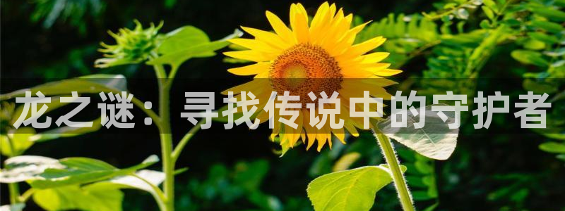 漫蛙5：龙之谜：寻找传说中的守护者
