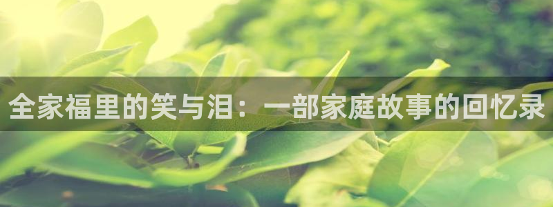 漫蛙入口防走失：全家福里的笑与泪：一部家庭故事的回忆录