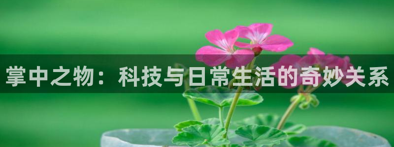 漫蛙在哪里打开：掌中之物：科技与日常生活的奇妙关系