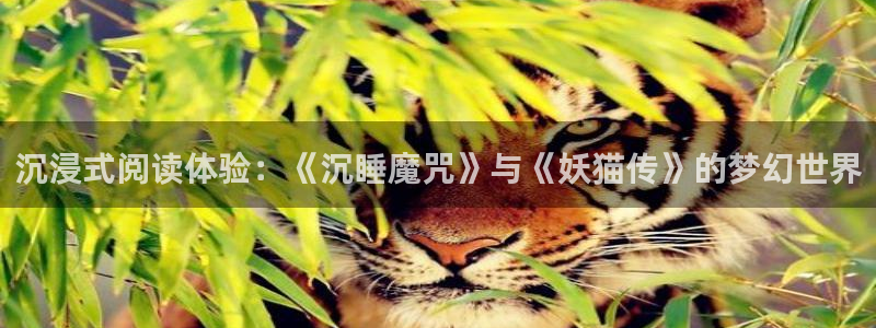 漫蛙漫画免费登录入口：沉浸式阅读体验：《沉睡魔咒》与《妖猫传》的梦幻世界