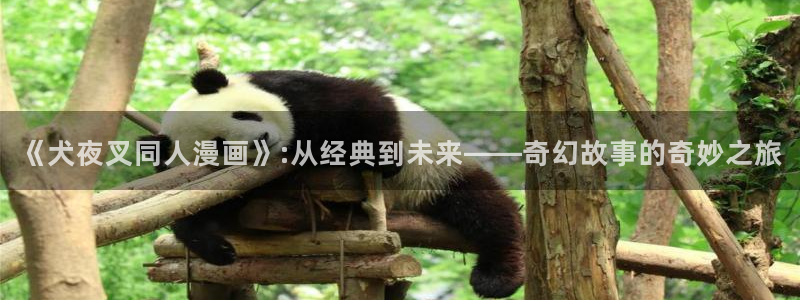 漫蛙2免费版下载入口：《犬夜叉同人漫画》:从经典到未来——奇幻故事的奇妙之旅