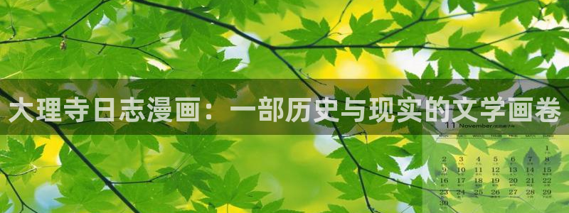 怎么下漫蛙：大理寺日志漫画：一部历史与现实的文学画卷