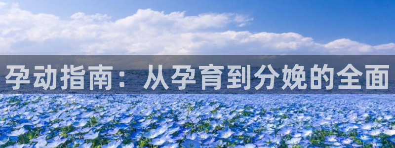 漫蛙漫画在线观看入口游侠网：孕动指南：从孕育到分娩的全面