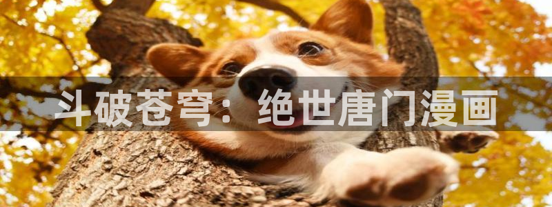 漫蛙漫画(网页入口)_漫蛙manwa3官网_：斗破苍穹：绝世唐门漫画
