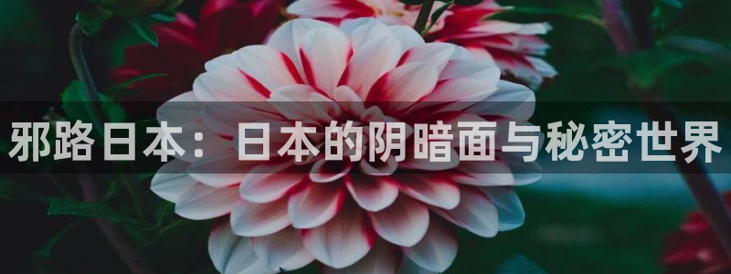 漫蛙漫画免费漫画入口页面下拉式：邪路日本：日本的阴暗面与秘密世界