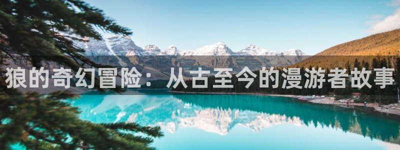 漫蛙1.1.8版本：狼的奇幻冒险：从古至今的漫游者故事