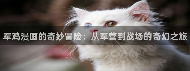 漫蛙ios苹果版下载