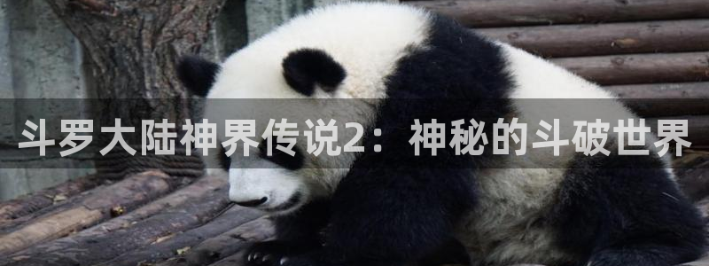 漫蛙2苹果怎么下载