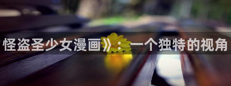漫蛙韩国漫画：怪盗圣少女漫画》：一个独特的视角