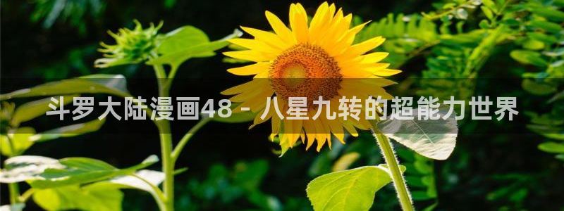 漫蛙正版下载链接：斗罗大陆漫画48 - 八星九转的超能力世界