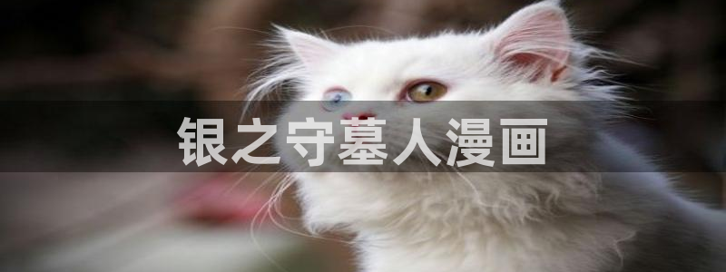 漫蛙漫画(网页入口)_漫蛙manwa官网版漫：银之守墓人漫画
