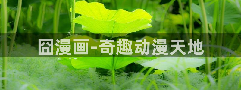 漫蛙漫画免费漫画入口页面网页版