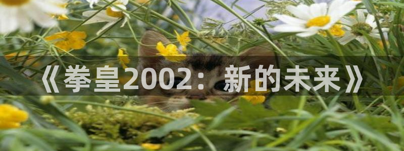 manwa2漫蛙下载入口