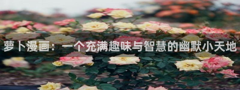 漫蛙2版本1.8.4：萝卜漫画：一个充满趣味与智慧的幽默小天地