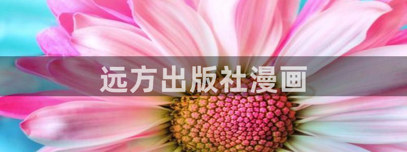漫蛙网页版入口：远方出版社漫画