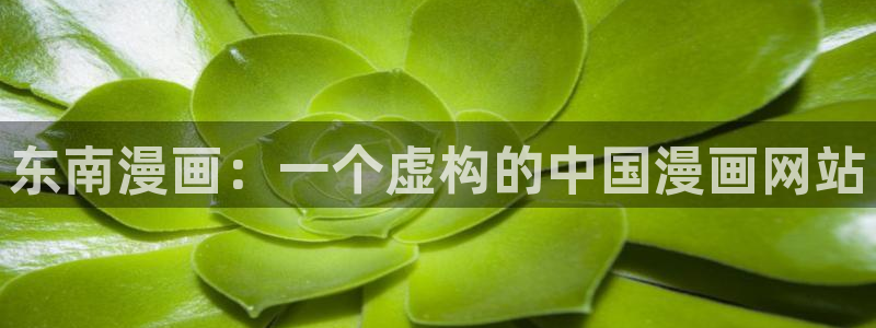 漫蛙加载不出来：东南漫画：一个虚构的中国漫画网站