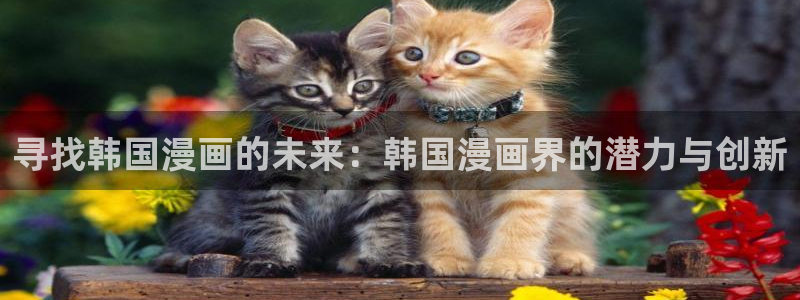 漫蛙漫画(网页版入口)：寻找韩国漫画的未来：韩国漫画界的潜力与创新