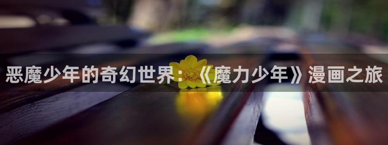 漫蛙2下：恶魔少年的奇幻世界：《魔力少年》漫画之旅