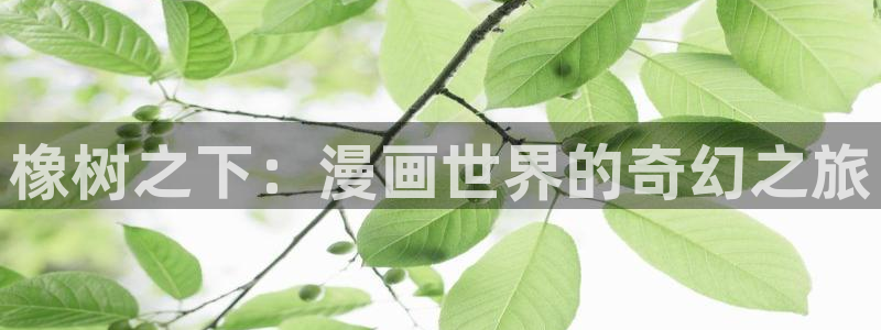 漫蛙漫画网站链接：橡树之下：漫画世界的奇幻之旅