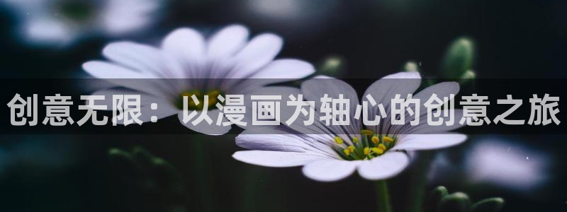 漫蛙2最新版本下载：创意无限：以漫画为轴心的创意之旅