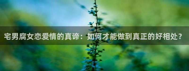 漫蛙2下载网址：宅男腐女恋爱情的真谛：如何才能做到真正的好相处？