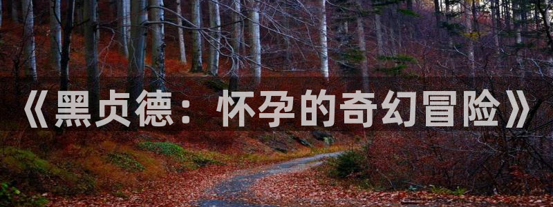 漫蛙本子：《黑贞德：怀孕的奇幻冒险》