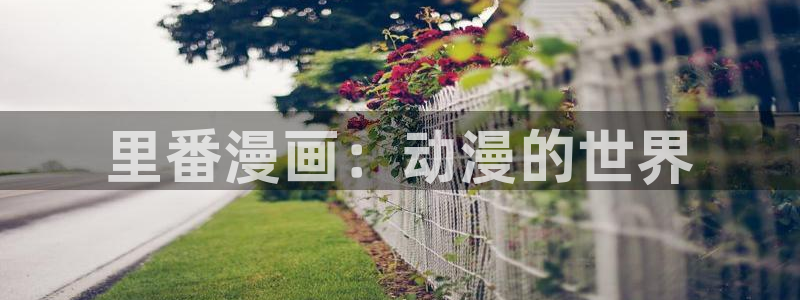 漫蛙manwa2正版下载免费：里番漫画：动漫的世界